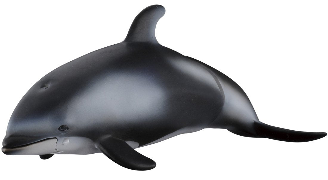 Takara Tomy Ania AS-19 White-Faced Dolphin Realistic Toy Suitable Ages 3 and Up Safety Certified