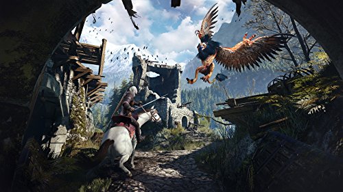 The Witcher 3: Wild Hunt Game Of The Year Edition Ps4 Nouveau