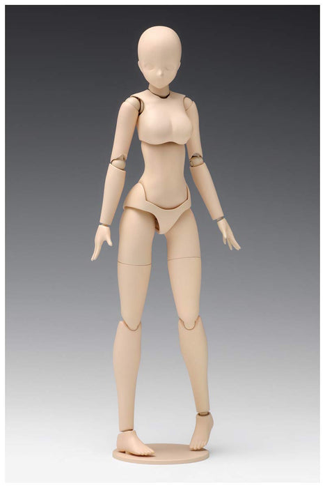 WAVE Sr021 Movable Body Female Type Standard 1/12 Scale Kit