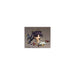 #Good Smile Company Nendoroid Fate/Grand Order Archer / Ishtar Figure - New Japan Figure 4580416905190 2